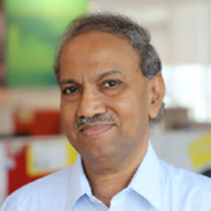 Lakshman Pachineela (Independent Consultant)